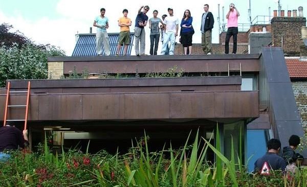 Volunteers standing on top of a roof, looking out over a community garden with greenery.
