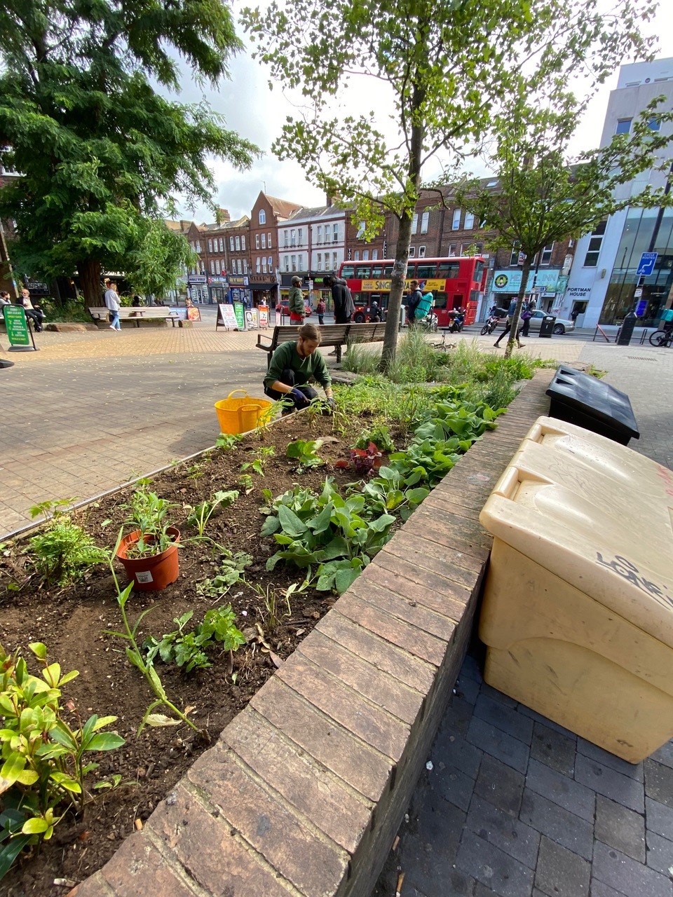 New garden created by GrowN22 at Wood Green Library